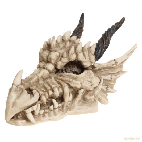 Nemesis Now: Dragon Skull Box 20cm