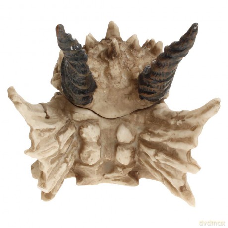 Nemesis Now: Dragon Skull Box 20cm