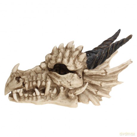 Nemesis Now: Dragon Skull Box 20cm