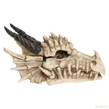 Nemesis Now: Dragon Skull Box 20cm