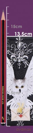 Nemesis Now: Owl Messenger Box
