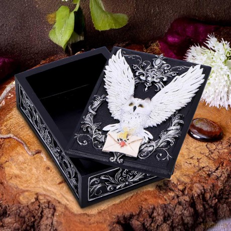 Nemesis Now: Owl Messenger Box