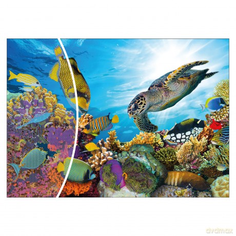 Nice: Diamantiny - Artist 50x70 (Assortimento)
