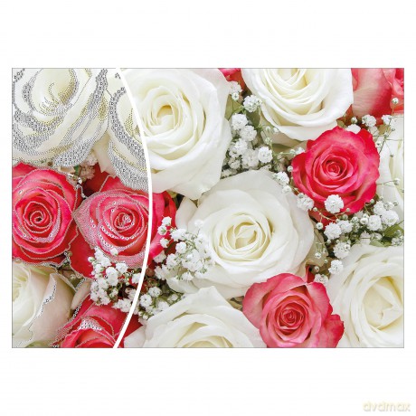 Nice: Diamantiny - Artist 50x70 (Assortimento)