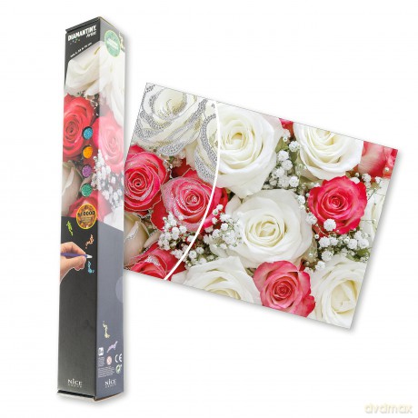 Nice: Diamantiny - Artist 50x70 (Assortimento)