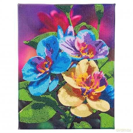 Nice: Diamantiny Quadro Su Tela Assortimento 1