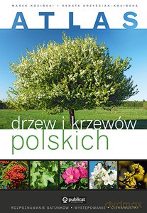Atlas drzew i krzewów polskich - Kosińska Renata, Kosiński Marek [KSIĄŻKA]
