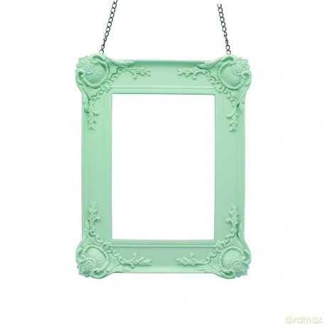 Paladone Pp3109 Frame Feeder - Green