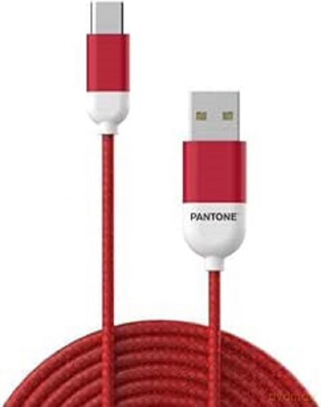 Pantone Type-C Cable 1.5 Mt Red