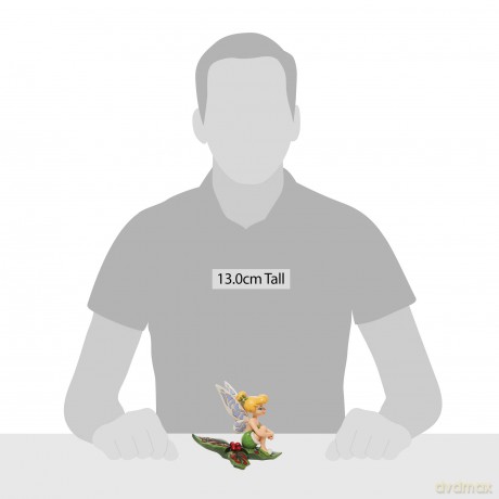 Peter Pan Tinker Bell sull'Agrifoglio