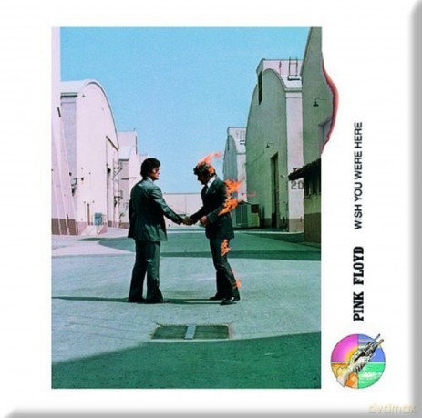 Pink Floyd Fridge Magnet: Wish you were here