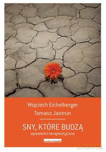 Sny, które budzą. Opowieści terapeutyczne (Wyd. 2014) - Eichelberger Wojciech, Jastrun Tomasz [KSIĄŻKA]