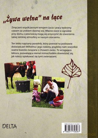 Owce. Poradnik początkującego hodowcy - Gomringer Anne-Kathrin [KSIĄŻKA]