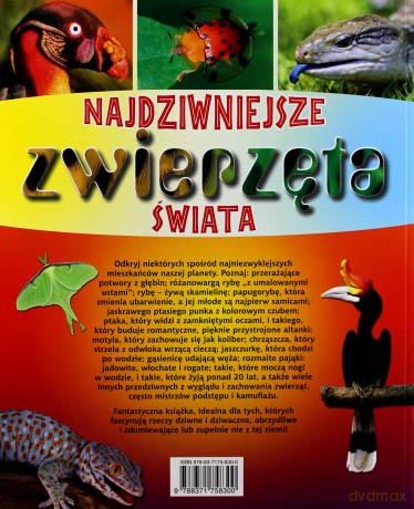 Najdziwniejsze zwierzęta świata - Hibbert Clare [KSIĄŻKA]