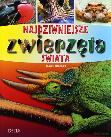 Najdziwniejsze zwierzęta świata - Hibbert Clare [KSIĄŻKA]