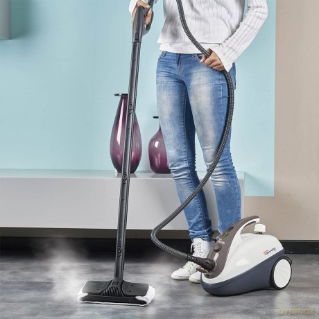Polti Vaporetto Smart 30s