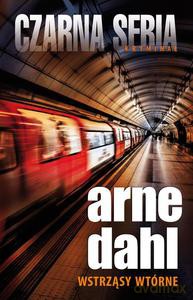 Wstrząsy wtórne - Dahl Arne [KSIĄŻKA]