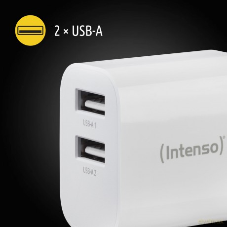 Power Adapter 2 X Usb-A 24w
