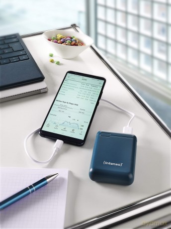 Power Bank F10000 Mah Petrol