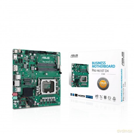 Pro H610t D4-Csm