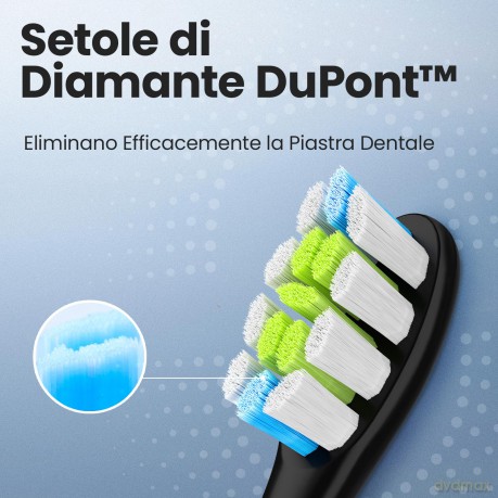 Professional Clean -2 Pack Black