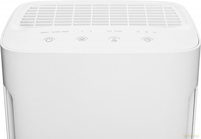 Purificatore