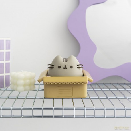Pusheen: Erik (Skarbonka)