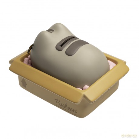 Pusheen: Erik (Skarbonka)
