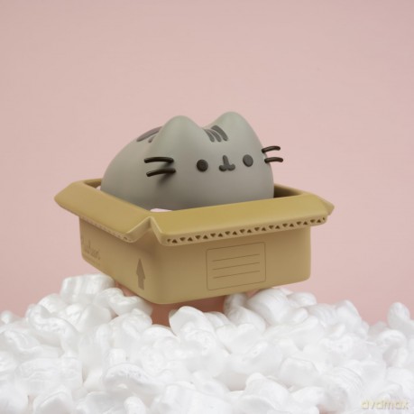 Pusheen: Erik (Skarbonka)