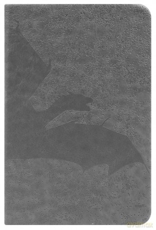 Pyramid International Game Of Thrones Premium Notebook A6 Soaring Dragon