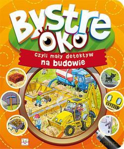 Bystre oko, czyli mały detektyw na budowie [KSIĄŻKA]