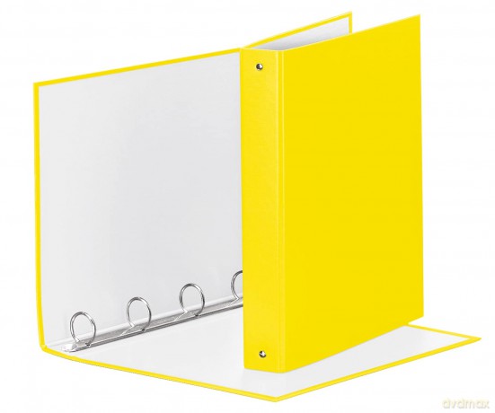 Raccogl.Meeting 4r Giallo Vivi22x30