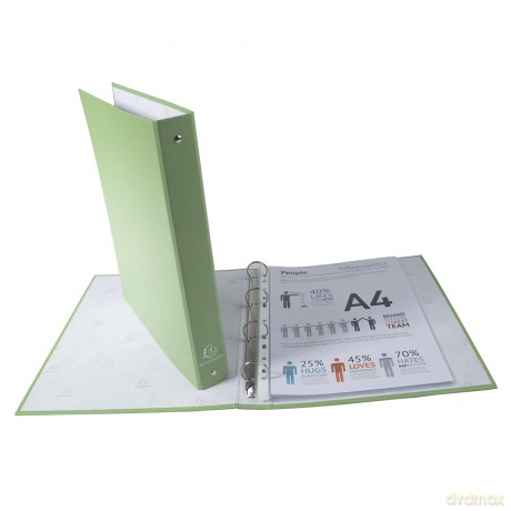 Raccoglit. 4 Anelli Col Verde Anice