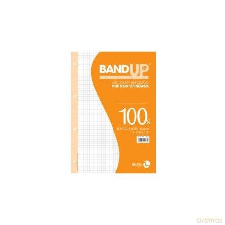 Ricambi Rinf. Band Up 100g A4 R.Q