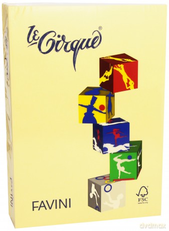 Risma Le Cirque 80g Camoscio A4