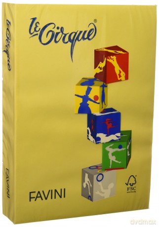 Risma Le Cirque 80g G.Solare A4