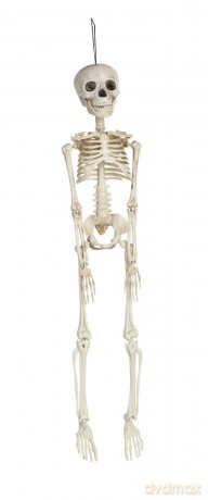 Rubies: Skeletons - Scheletro Pendente 45 Cm