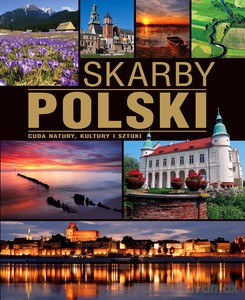 Skarby Polski (wyd. 2014) - Willman Anna [KSIĄŻKA]