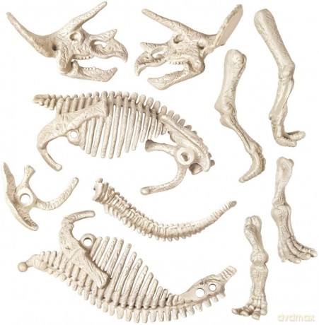 Scienza E Gioco - Archeogiocando - Triceratopo