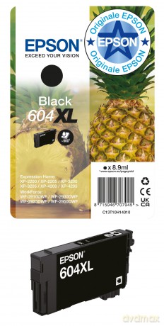 Singlepack Black 604xl Ink
