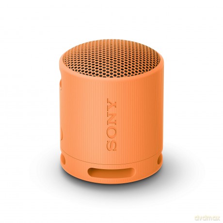 Srs-Xb100 Speaker Wrls Arancione