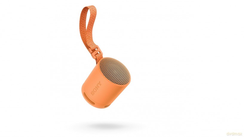 Srs-Xb100 Speaker Wrls Arancione
