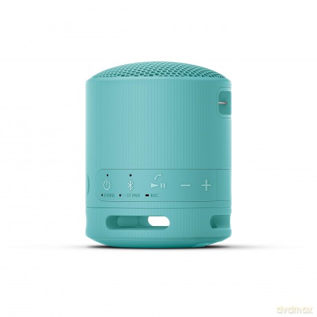 Srs-Xb100 Speaker Wrls Blu Sc
