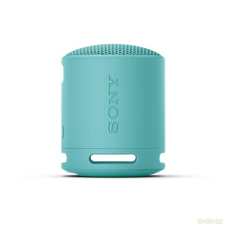 Srs-Xb100 Speaker Wrls Blu Sc
