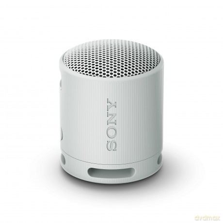 Srs-Xb100 Speaker Wrls Grigi0