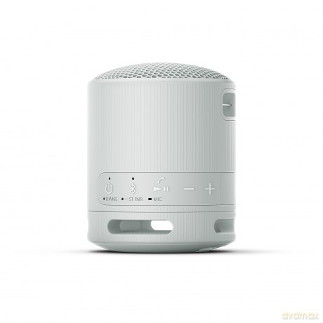 Srs-Xb100 Speaker Wrls Grigi0