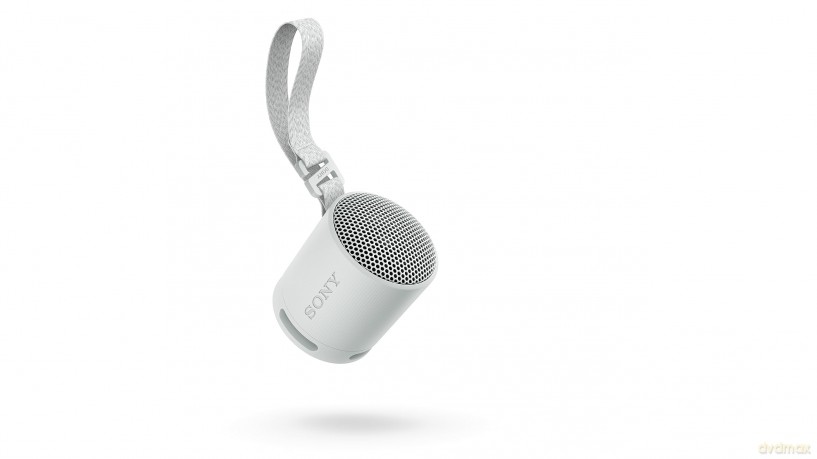 Srs-Xb100 Speaker Wrls Grigi0