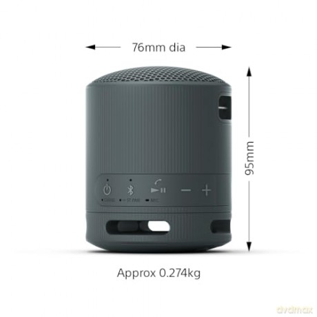 Srs-Xb100 Speaker Wrls Grigi0