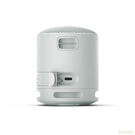 Srs-Xb100 Speaker Wrls Grigi0