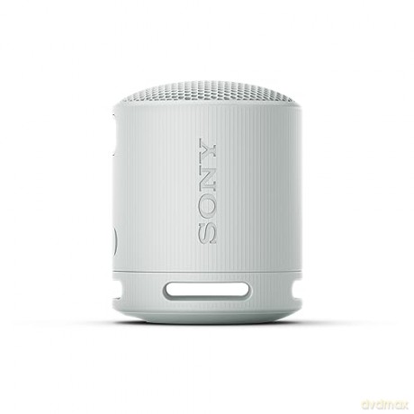 Srs-Xb100 Speaker Wrls Grigi0